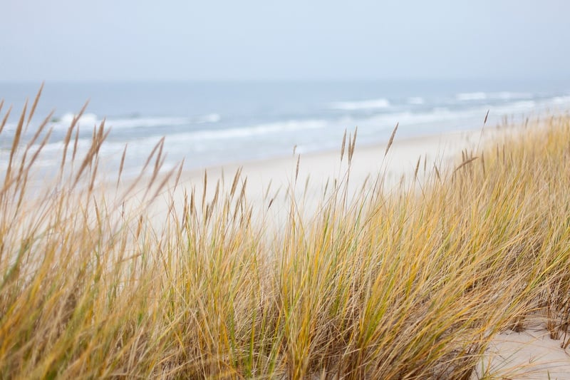 Footsteps in the Sand