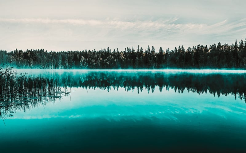 Travel Landscape